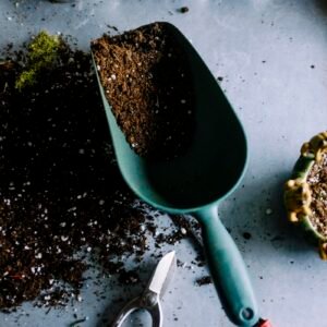 Heirloom Seed Collection